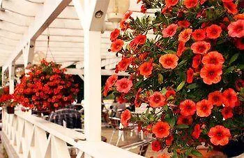 Messilae キャンプ場 Hollola